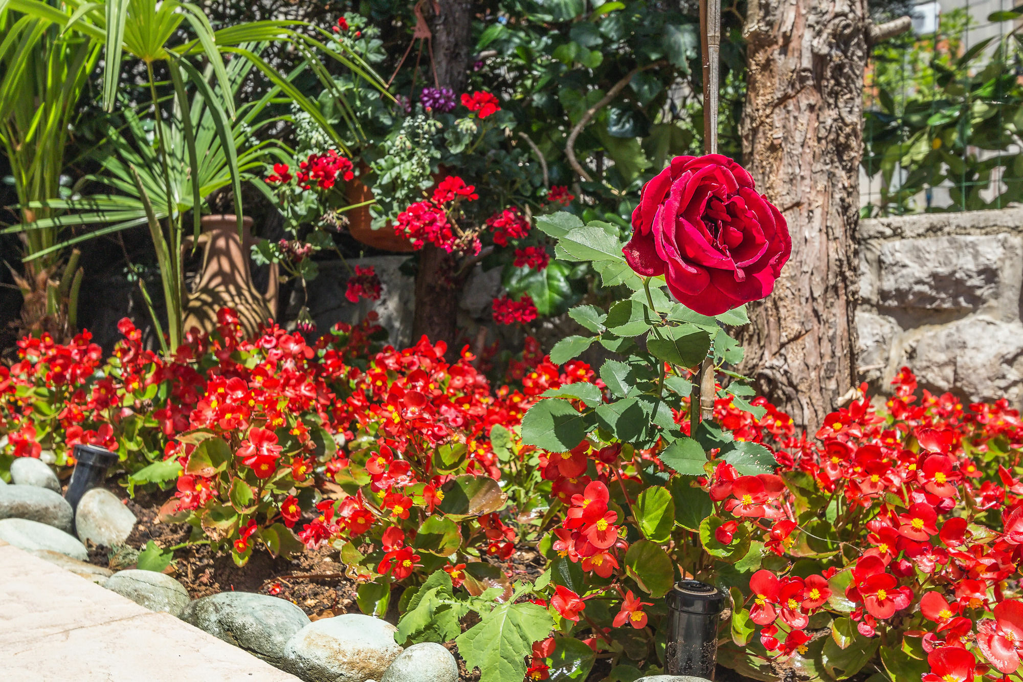 Villa Roses Apartments & Wellness Ічичі Екстер'єр фото